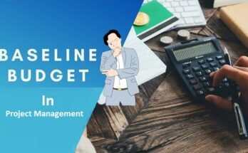What is a Baseline Budget in Project Management