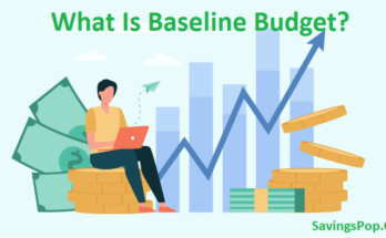 What Is Baseline Budget
