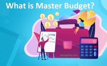 What is Master Budget