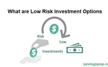 What are Low Risk Investment Options