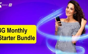 Telenor 4G Monthly Starter Bundle