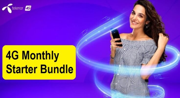 Telenor 4G Monthly Starter Bundle