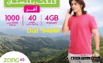 Zong Gilgit Baltistan Offer