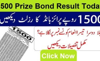 1500 Prize Bond Result List 2024 Today 15 November Draw No100