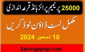 25000 Rs Premium Prize Bonds Result 2024